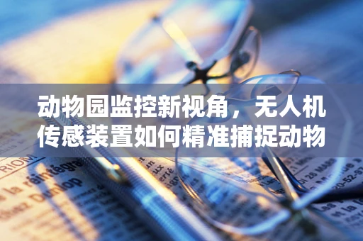 动物园监控新视角，无人机传感装置如何精准捕捉动物行为？