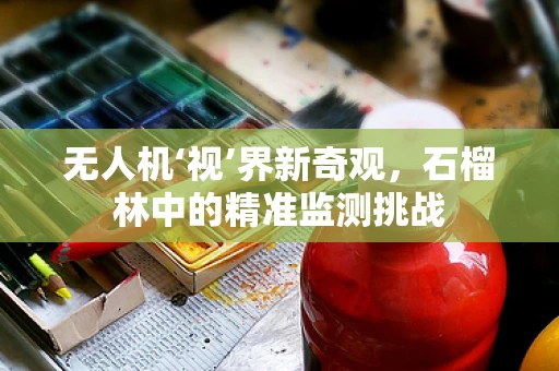 无人机‘视’界新奇观，石榴林中的精准监测挑战