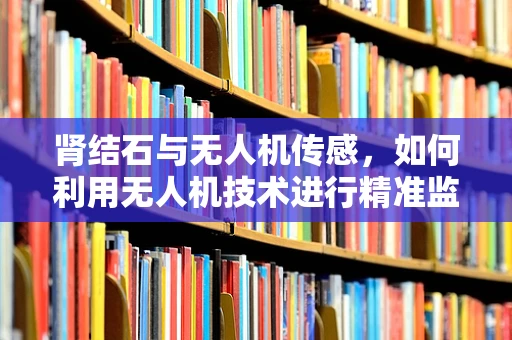 肾结石与无人机传感，如何利用无人机技术进行精准监测？
