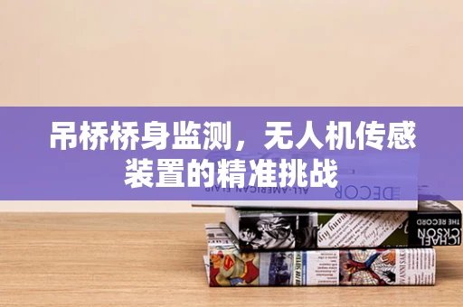 吊桥桥身监测，无人机传感装置的精准挑战