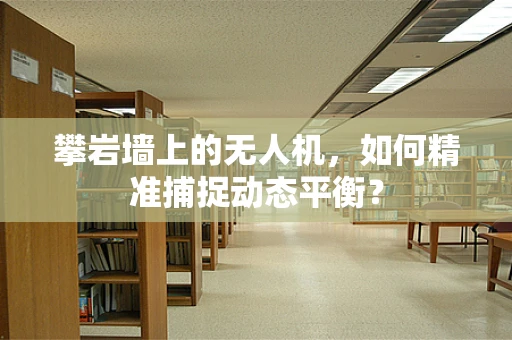 攀岩墙上的无人机，如何精准捕捉动态平衡？