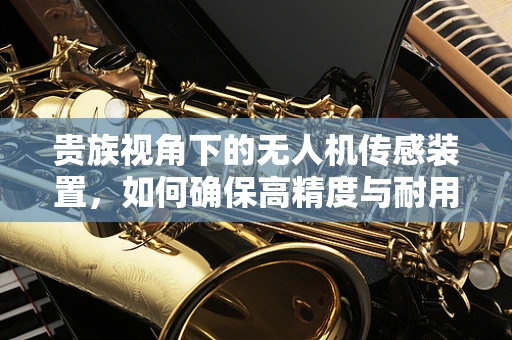 贵族视角下的无人机传感装置，如何确保高精度与耐用性的平衡？