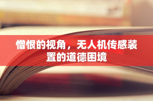 憎恨的视角，无人机传感装置的道德困境