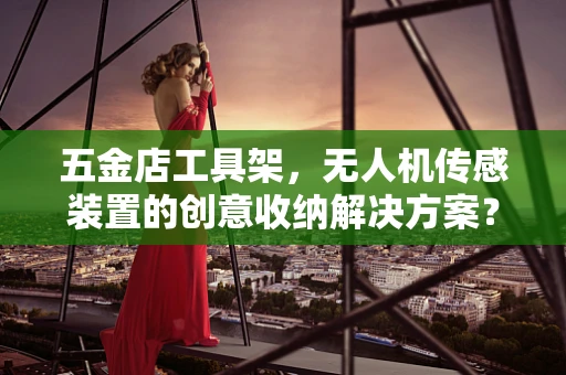 五金店工具架，无人机传感装置的创意收纳解决方案？