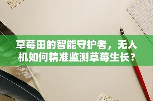 草莓田的智能守护者，无人机如何精准监测草莓生长？