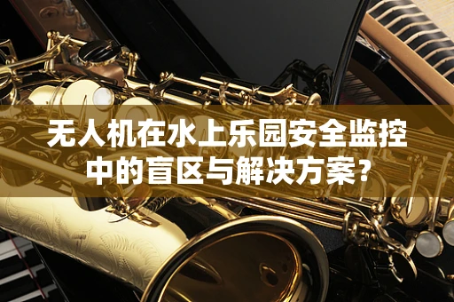 无人机在水上乐园安全监控中的盲区与解决方案？