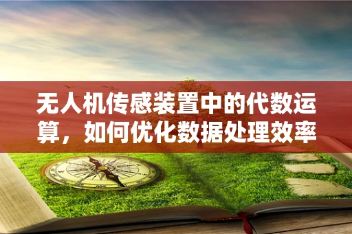 无人机传感装置中的代数运算，如何优化数据处理效率？