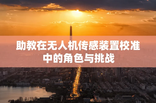 助教在无人机传感装置校准中的角色与挑战