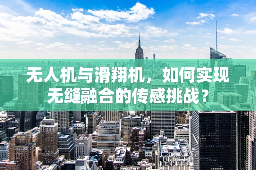 无人机与滑翔机，如何实现无缝融合的传感挑战？