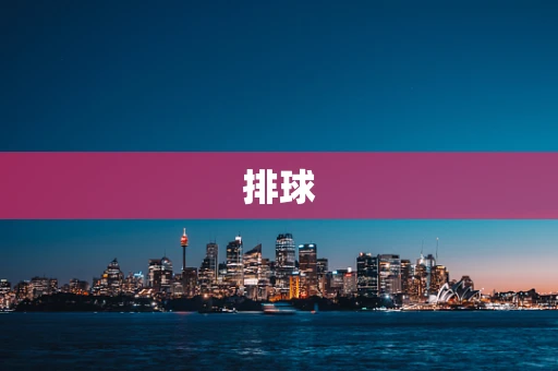 排球