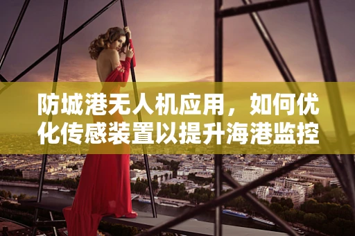 防城港无人机应用，如何优化传感装置以提升海港监控效率？