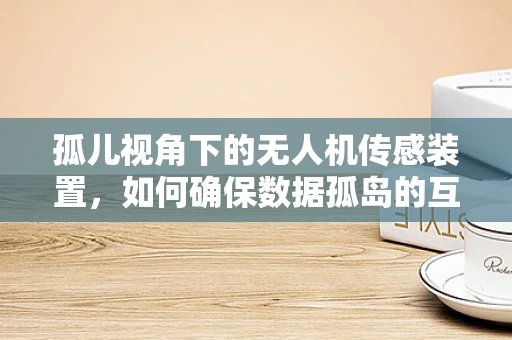 孤儿视角下的无人机传感装置，如何确保数据孤岛的互联互通？