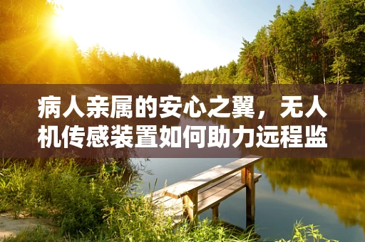 病人亲属的安心之翼，无人机传感装置如何助力远程监护？