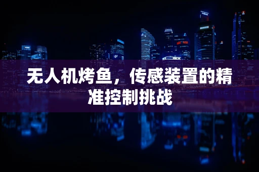 无人机烤鱼，传感装置的精准控制挑战