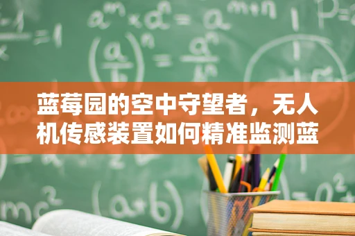 蓝莓园的空中守望者，无人机传感装置如何精准监测蓝莓生长状况？
