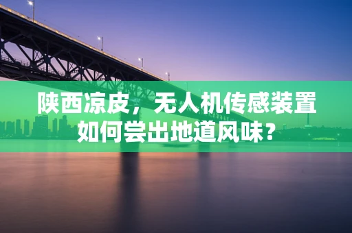 陕西凉皮，无人机传感装置如何尝出地道风味？