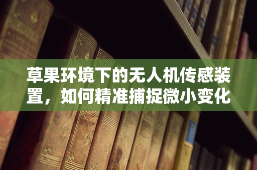 草果环境下的无人机传感装置，如何精准捕捉微小变化？