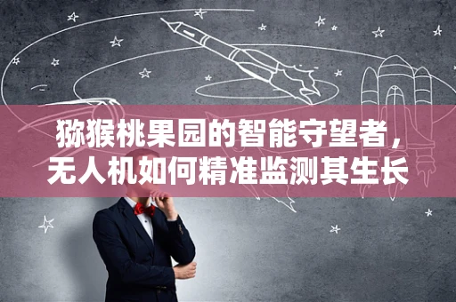 猕猴桃果园的智能守望者，无人机如何精准监测其生长环境？