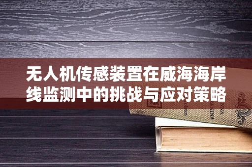 无人机传感装置在威海海岸线监测中的挑战与应对策略