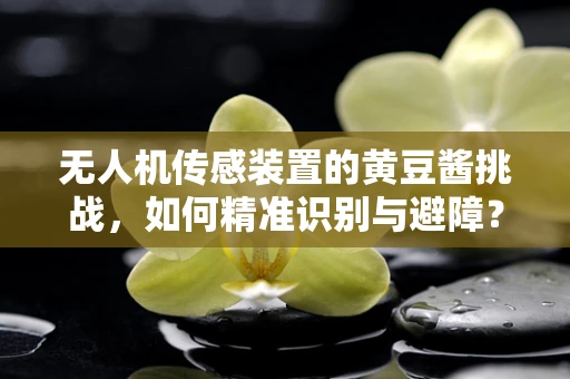 无人机传感装置的黄豆酱挑战，如何精准识别与避障？