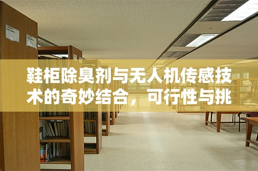 鞋柜除臭剂与无人机传感技术的奇妙结合，可行性与挑战何在？
