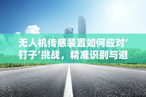 无人机传感装置如何应对‘钉子’挑战，精准识别与避障的难题