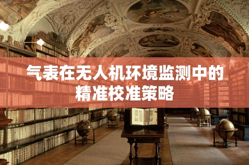 气表在无人机环境监测中的精准校准策略
