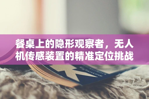 餐桌上的隐形观察者，无人机传感装置的精准定位挑战