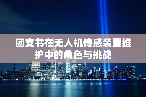 团支书在无人机传感装置维护中的角色与挑战