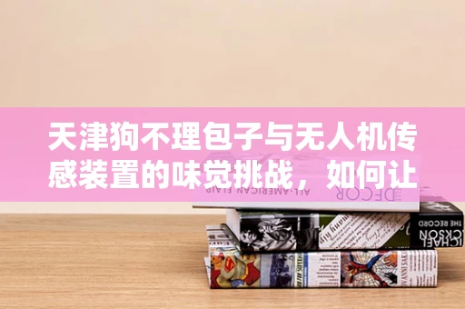天津狗不理包子与无人机传感装置的味觉挑战，如何让无人机精准识别美食气息？