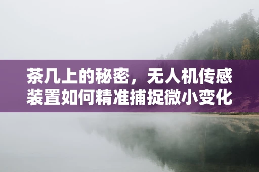 茶几上的秘密，无人机传感装置如何精准捕捉微小变化？