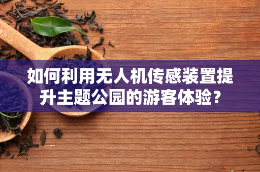 如何利用无人机传感装置提升主题公园的游客体验？
