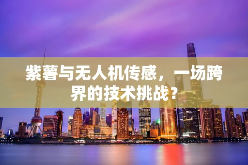 紫薯与无人机传感，一场跨界的技术挑战？