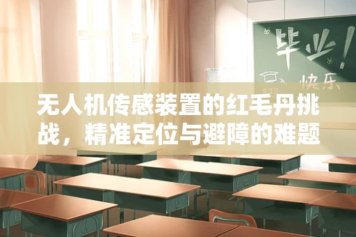 无人机传感装置的红毛丹挑战，精准定位与避障的难题