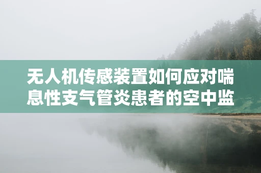 无人机传感装置如何应对喘息性支气管炎患者的空中监测挑战？