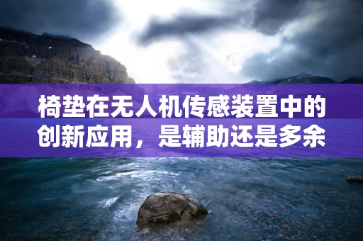 椅垫在无人机传感装置中的创新应用，是辅助还是多余？
