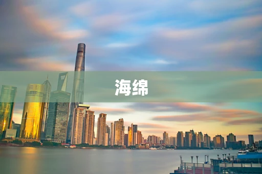 海绵