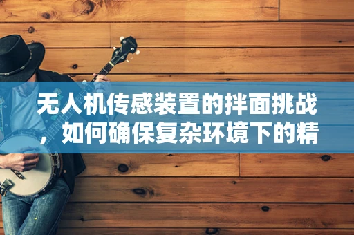 无人机传感装置的拌面挑战，如何确保复杂环境下的精准识别？