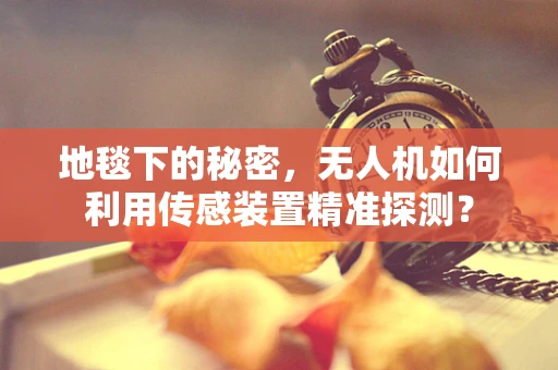 地毯下的秘密，无人机如何利用传感装置精准探测？