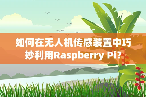 如何在无人机传感装置中巧妙利用Raspberry Pi？