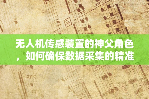 无人机传感装置的神父角色，如何确保数据采集的精准与神圣？