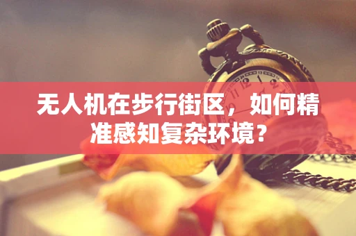 无人机在步行街区，如何精准感知复杂环境？