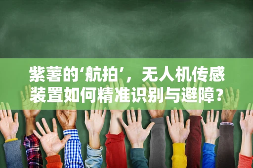 紫薯的‘航拍’，无人机传感装置如何精准识别与避障？