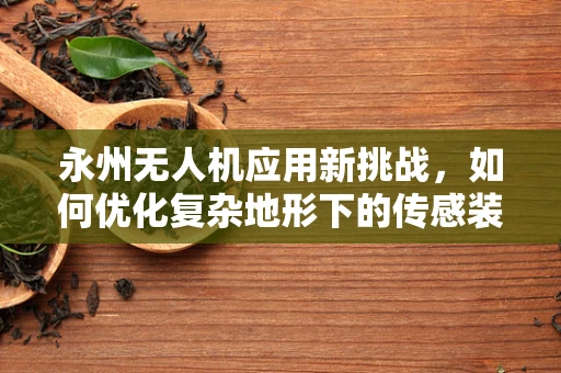 永州无人机应用新挑战，如何优化复杂地形下的传感装置稳定性？