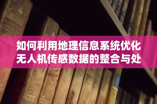 如何利用地理信息系统优化无人机传感数据的整合与处理？