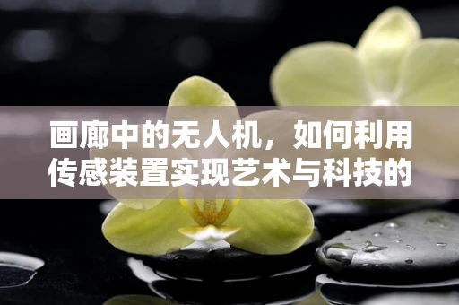 画廊中的无人机，如何利用传感装置实现艺术与科技的完美融合？