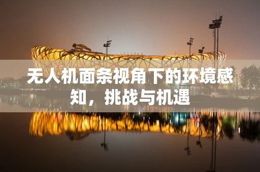 无人机面条视角下的环境感知，挑战与机遇