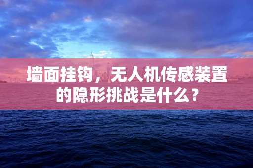 墙面挂钩，无人机传感装置的隐形挑战是什么？