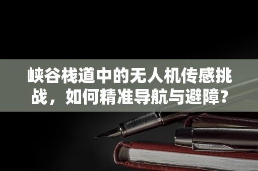 峡谷栈道中的无人机传感挑战，如何精准导航与避障？
