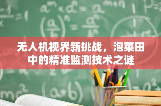 无人机视界新挑战，泡菜田中的精准监测技术之谜